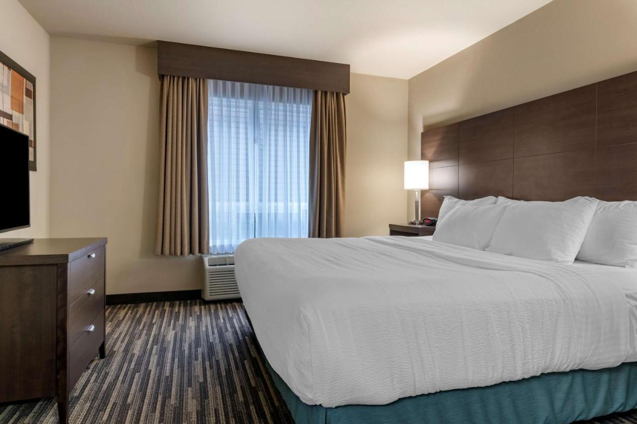 Best Western Plus Dartmouth Hotel & Suites Dış mekan fotoğraf